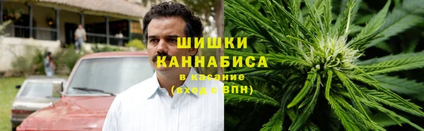 spice Козловка