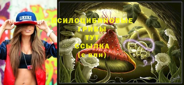 spice Козловка