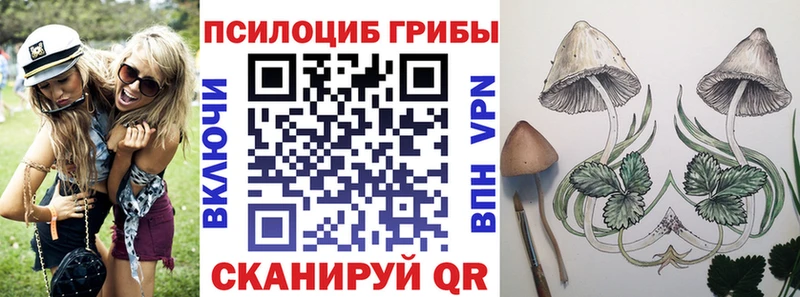 Галлюциногенные грибы прущие грибы  Купить закладки  Нижняя Салда 